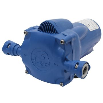 Whale Watermaster Automatic Pressure Pump